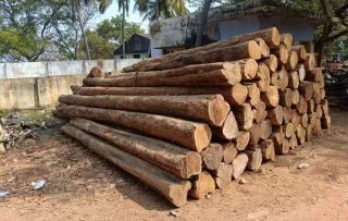 Premium Nilambur Teak