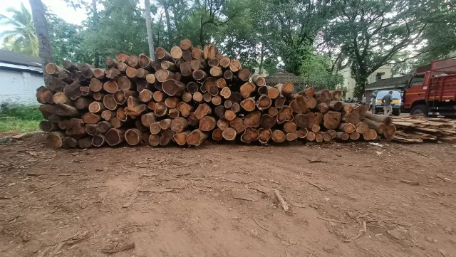 Manjiyam Wood Log 35 in Avg cft 