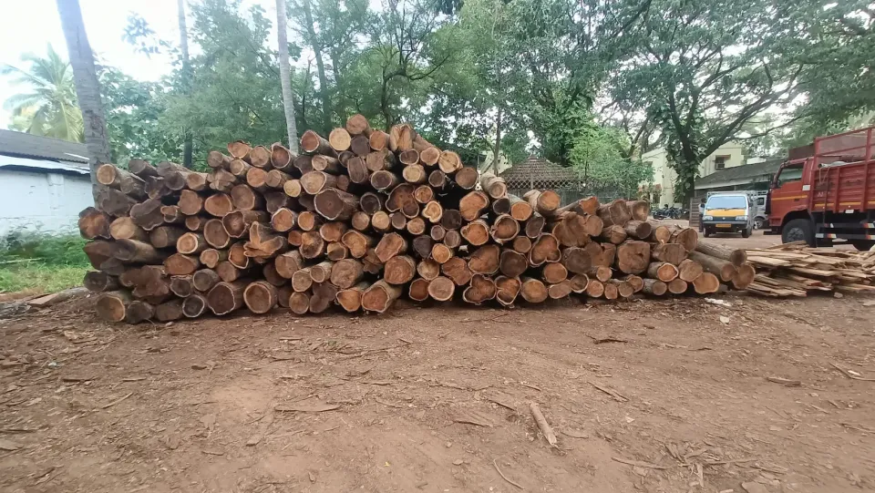 Manjiyam Wood Log 35 in Avg cft 