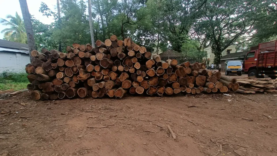 Manjiyam Wood Log 35 in Avg cft 