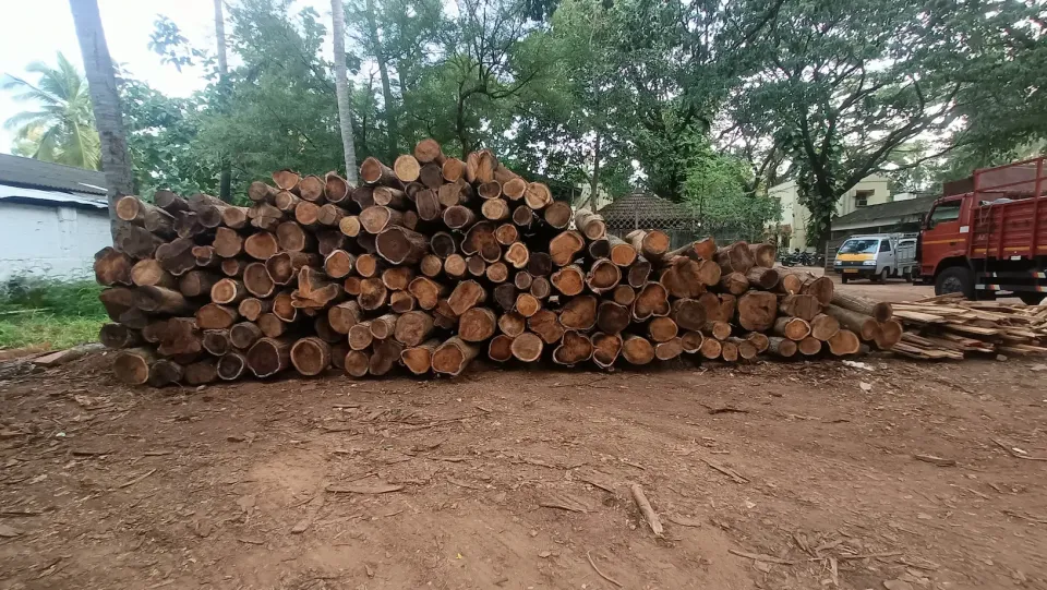 Manjiyam Wood Log 35 in Avg cft 