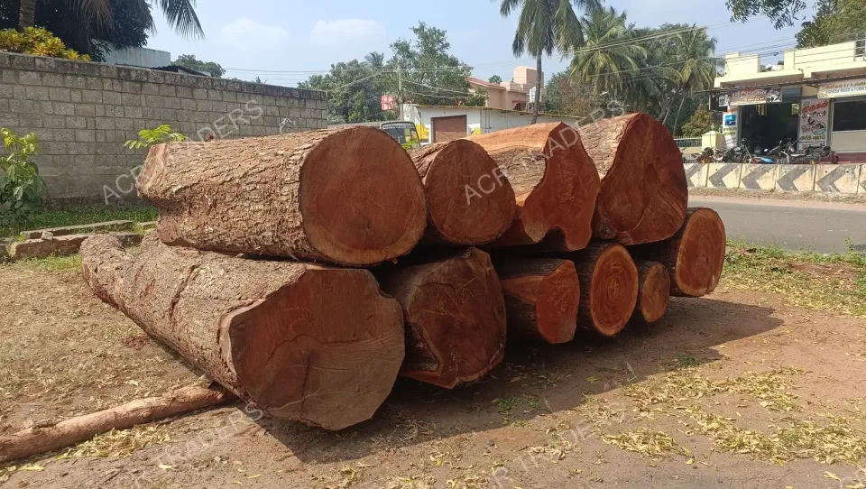 Mahogany Wood Log 01