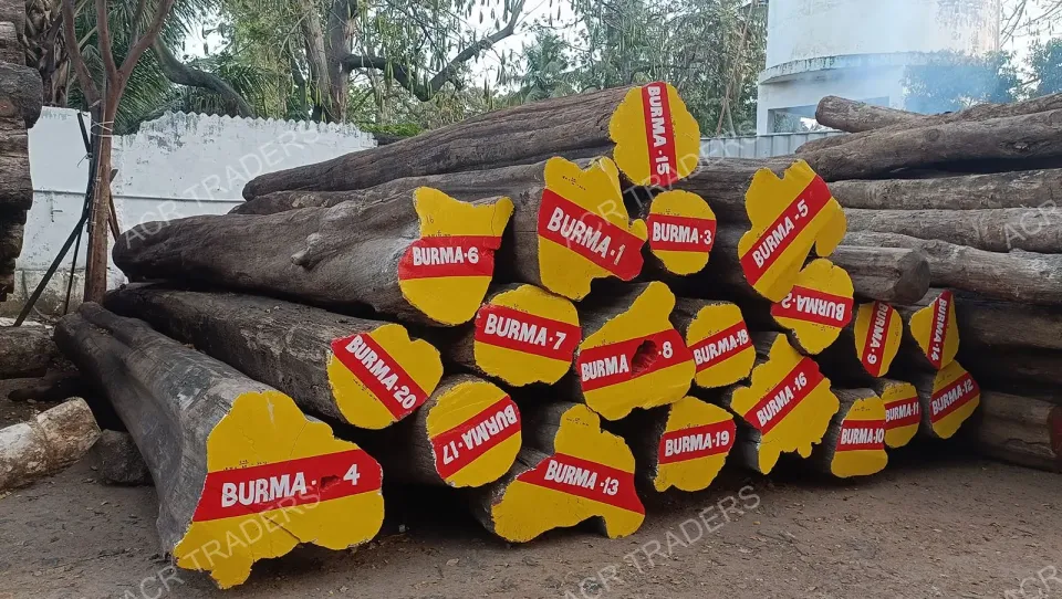 Premium Grade Burma Teak Log 01
