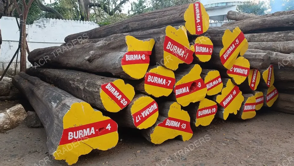 Premium Grade Burma Teak Log 01