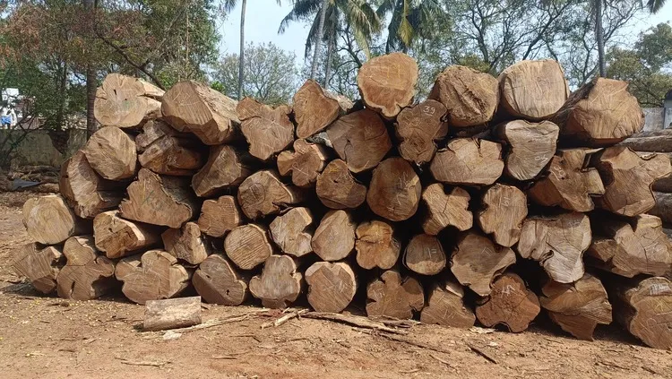 Premium Nilambur Teak 2