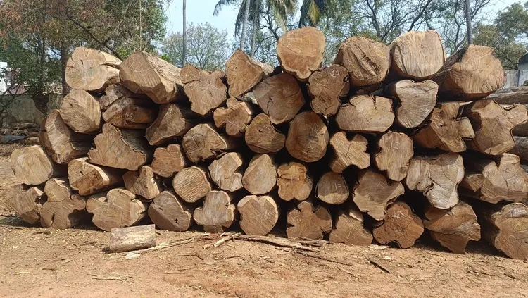 Premium Nilambur Teak 2