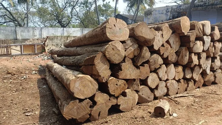 Premium Nilambur Teak 2
