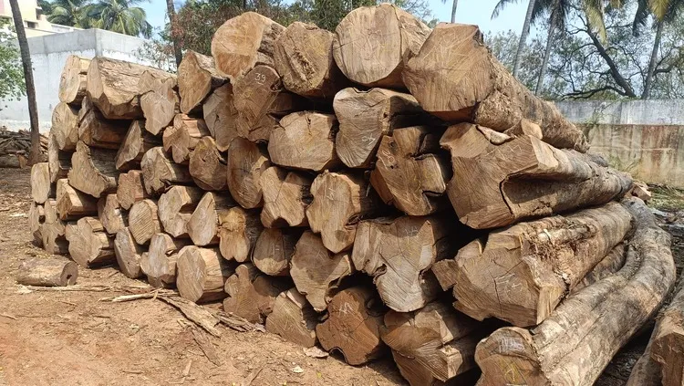 Premium Nilambur Teak 2