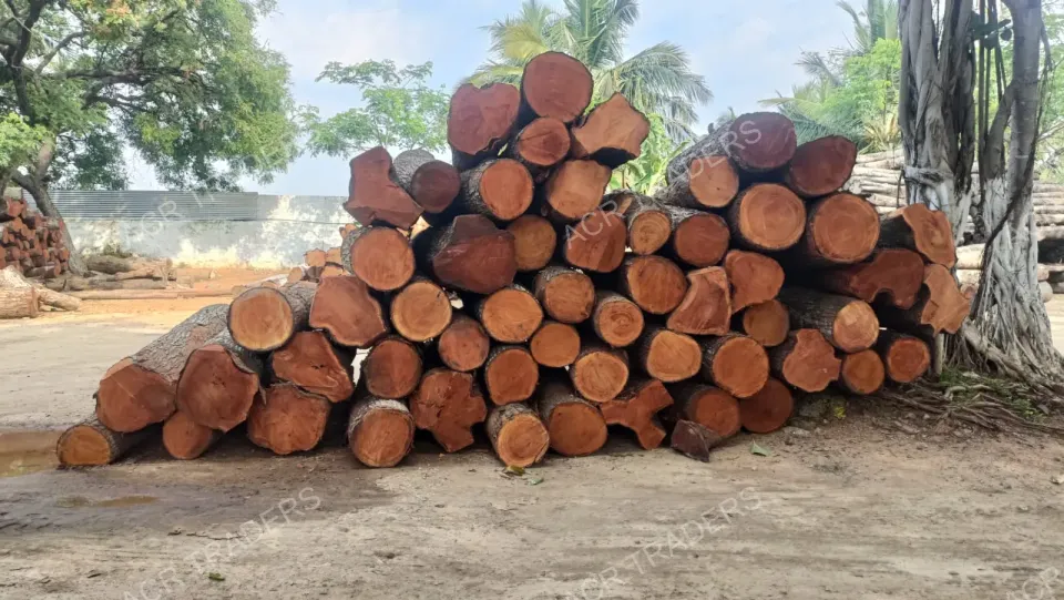 Mahogany Wood Log Girth Range Above 45 Inches