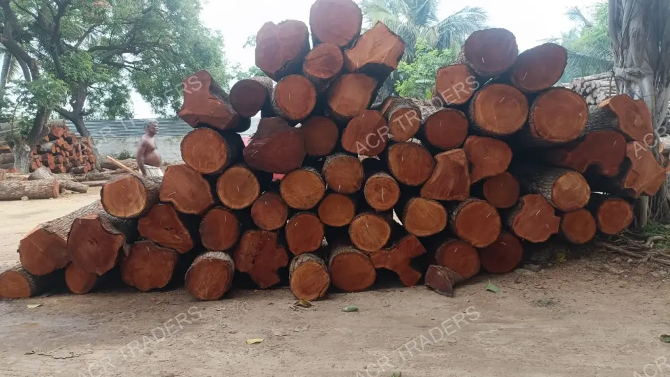 Mahogany Wood Log Girth Range Above 45 Inches
