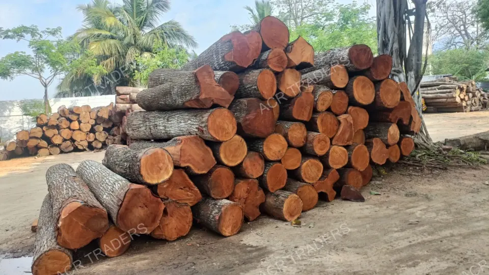 Mahogany Wood Log Girth Range Above 45 Inches