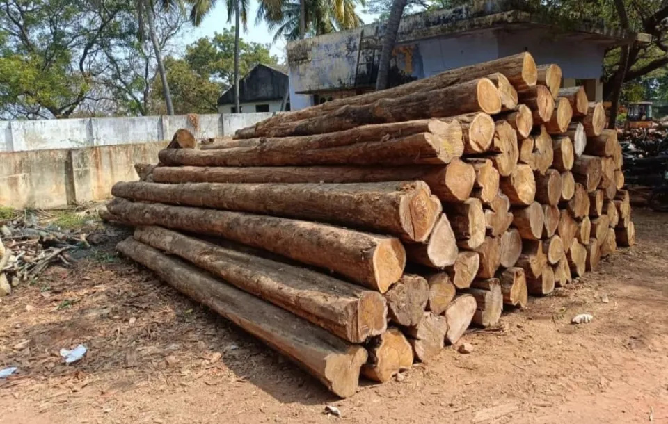 Premium Nilambur Teak