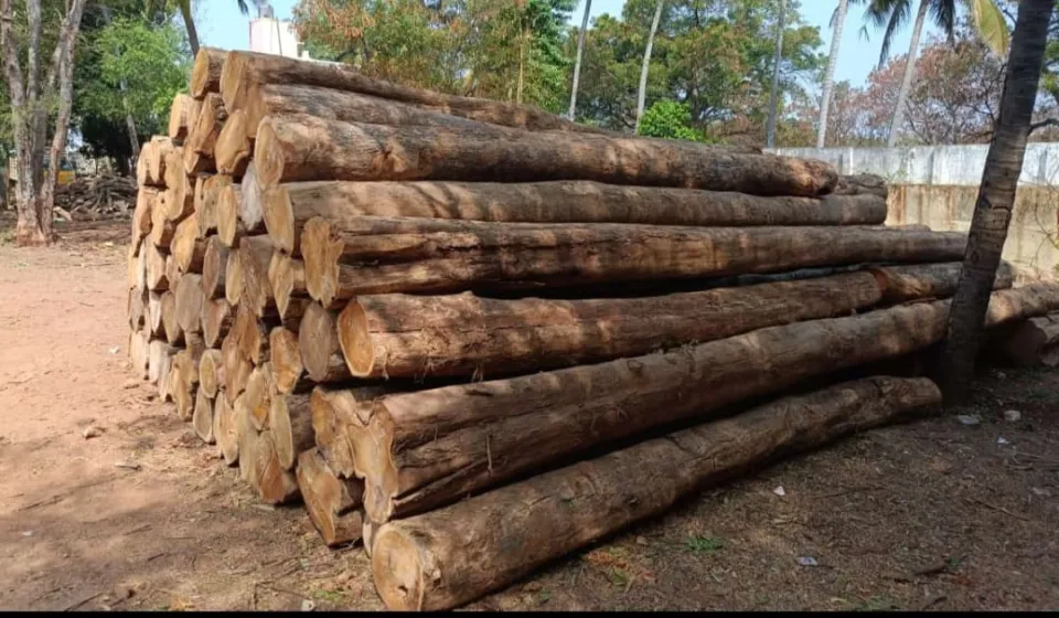 Premium Nilambur Teak